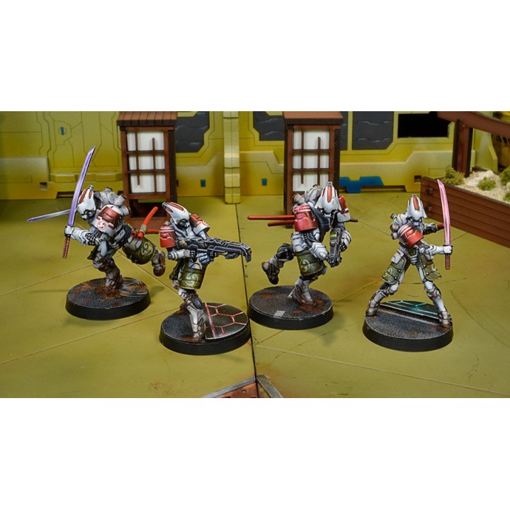 Infinity (Corvus Belli) - Domaru Butai pack