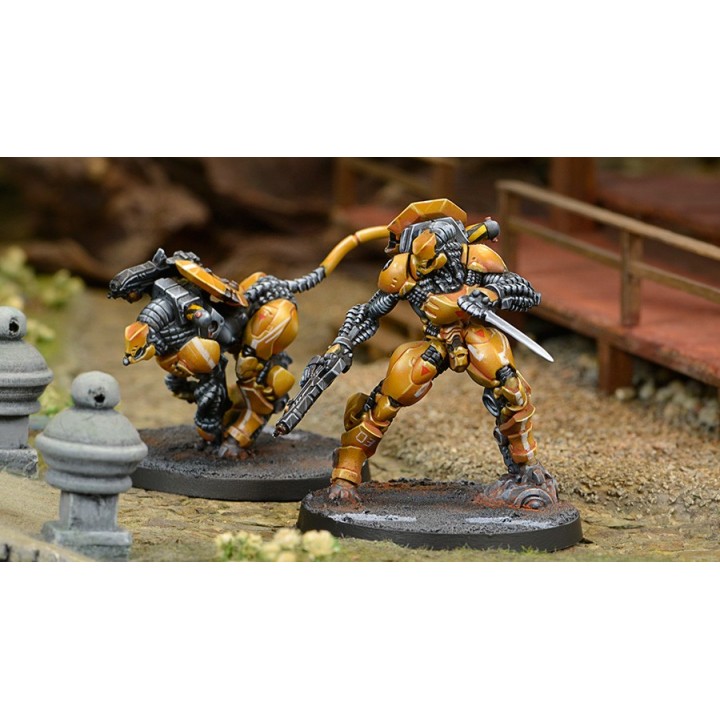 Infinity (Corvus Belli) - Su-Jian Immediate Action Unit
