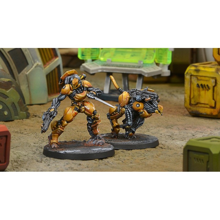 Infinity (Corvus Belli) - Su-Jian Immediate Action Unit