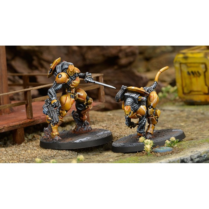 Infinity (Corvus Belli) - Su-Jian Immediate Action Unit