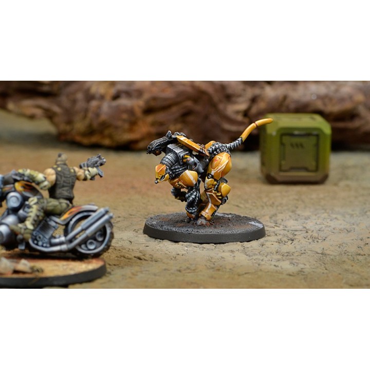 Infinity (Corvus Belli) - Su-Jian Immediate Action Unit