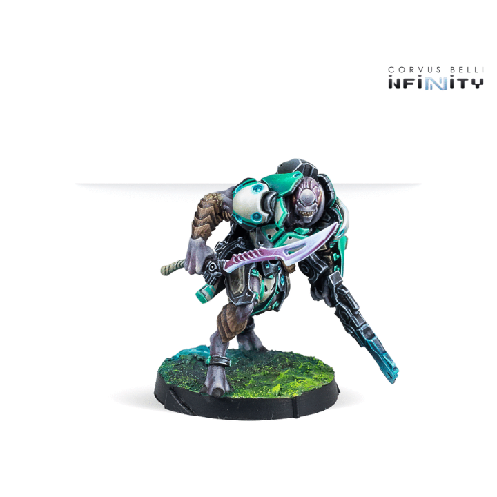 Infinity (Corvus Belli) - Chaksa Auxiliars