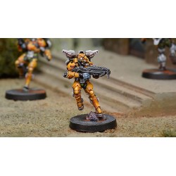 Infinity - Tiger Soldiers (Spitfire/ Boarding Shotgun)