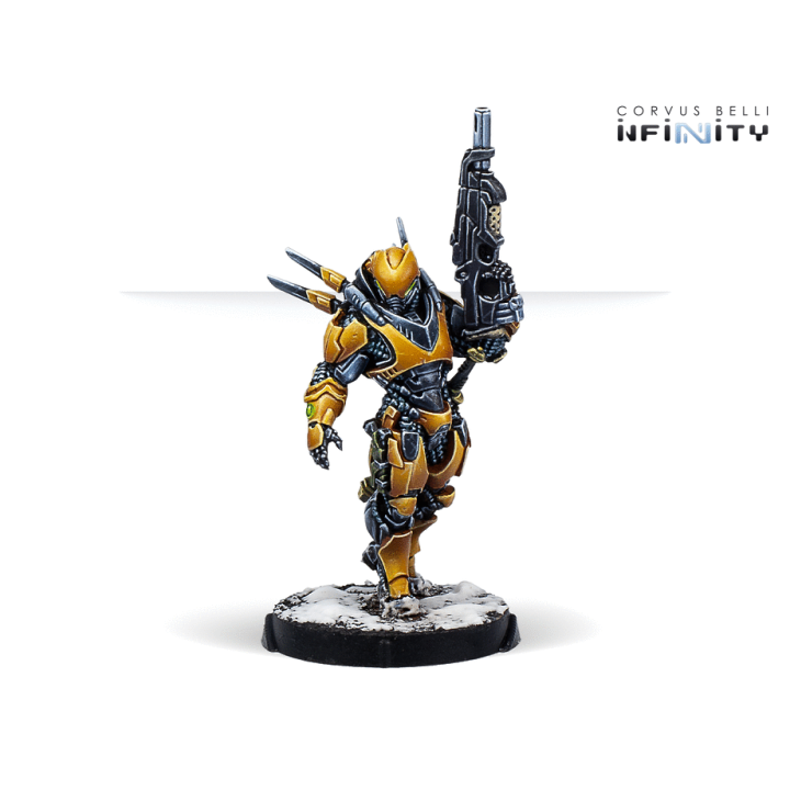 Infinity (Corvus Belli) - Shang Ji Invoncibles